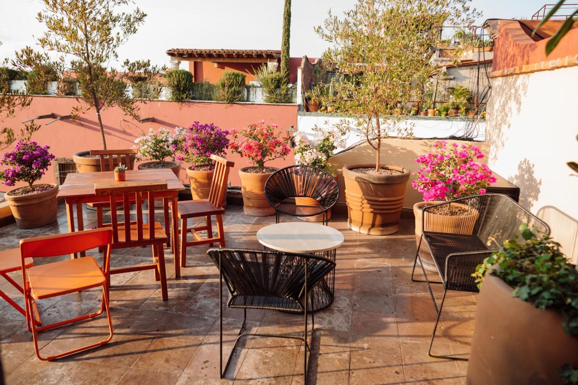 Maison Mexique Hotel Boutique San Miguel De Allende Dış mekan fotoğraf